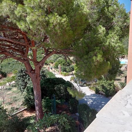 Villa Paladino Solunto Санта Флавия Екстериор снимка